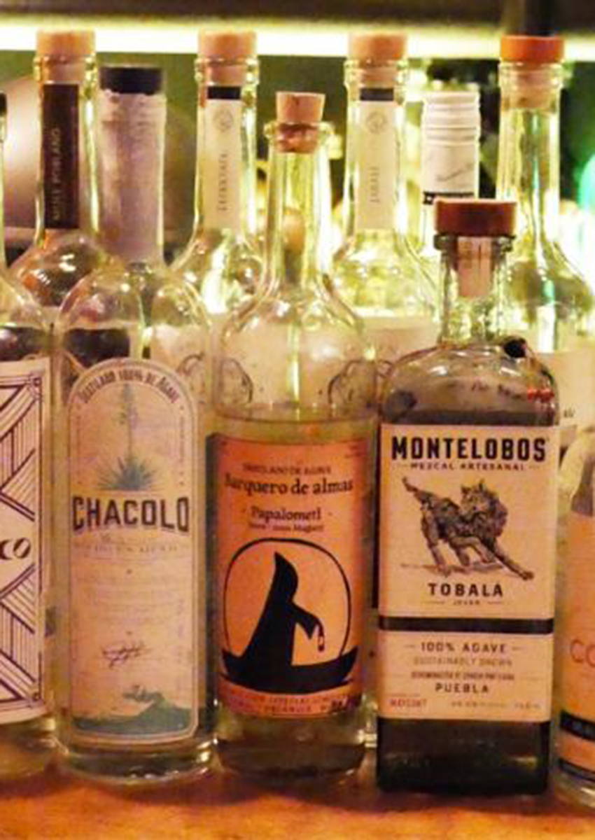 Tequila & Mezcal